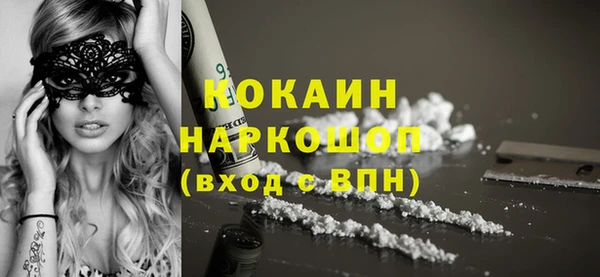прущие грибы Вязники