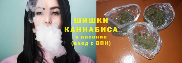 бошки Губаха
